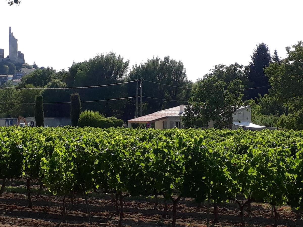 La Petite Maison Dans Les Vignes Chamaret Exterior photo